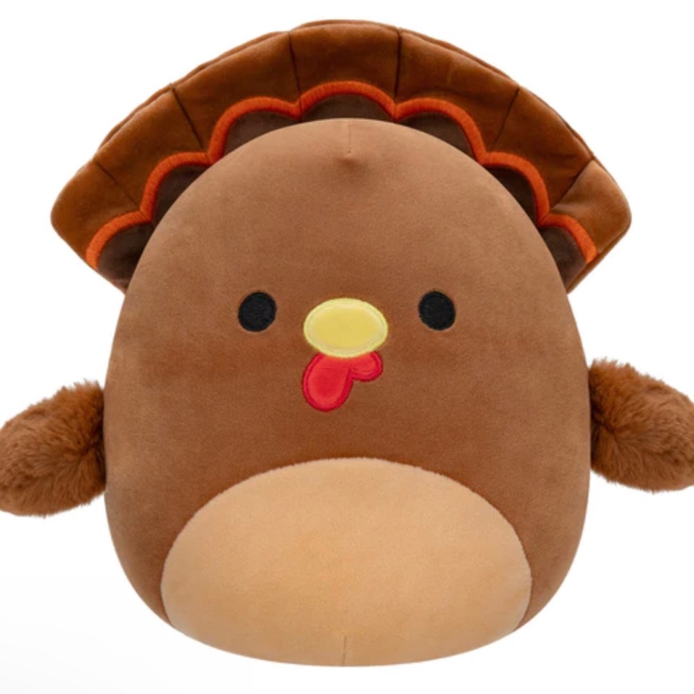 Terry the Turkey